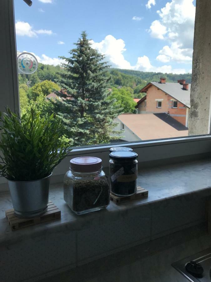Apartament Przy Rynku 비스와 외부 사진